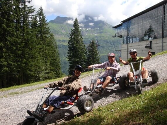 Mountain Carting in Elm