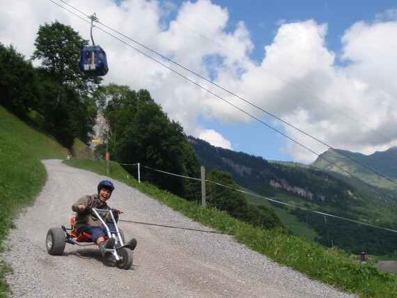 Mountain Carting in Elm