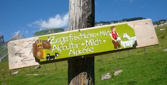 Swiss Goat Cheese For Sale