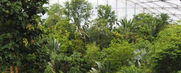 Masoala Rainforest at Zoo Zurich