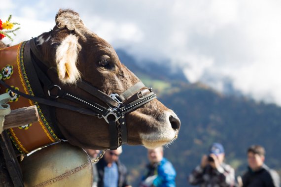 The Alp Spektakel in Prättigau is 100% living history