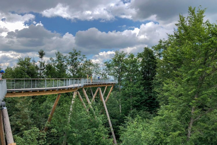 The Treetop Walkway In Mogelsberg Is Instagram Worthy