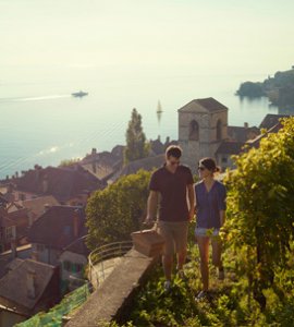 Lavaux Vineyards