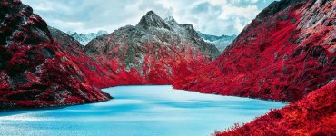 Swiss Alps - Infrared Moss and Fog by Zak van Biljon