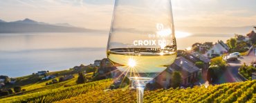 Domaine Croix Duplex Winery in Grandvaux, Switzerland