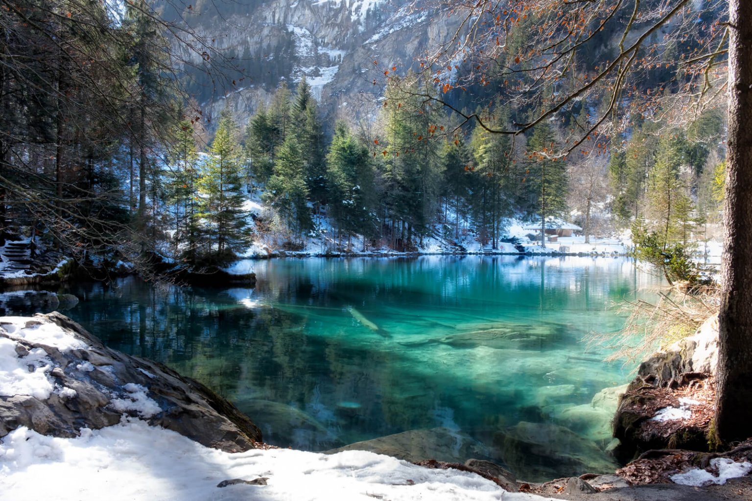 See why Lake Blausee is stunning during all seasons - Newly Swissed ...