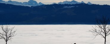 Nebelmeer at Hasenstrick - Sea of Fog aboove Switzerland