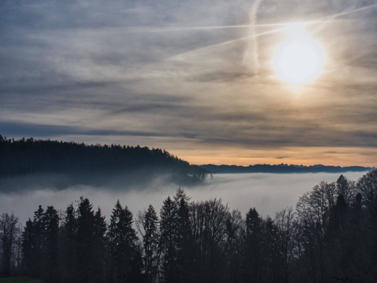 Much of Switzerland is covered by a thick layer of fog - Newly Swissed ...