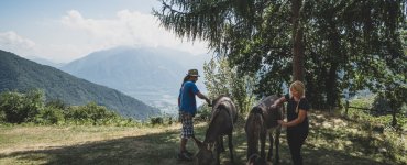 Campo Cortoi - Volunteering in Ticino, Switzerland