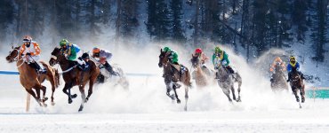 White Turf St. Moritz 2020 - Flat Race 9.2.20