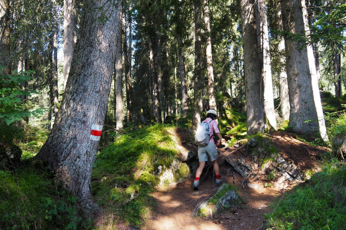 Copy/paste the Flims Water Trail into your bucket list! - Newly Swissed ...