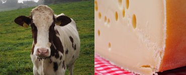 Emmentaler AOP Cheese