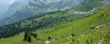 Hiking in Braunwald during Summer