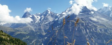 Hike in Mürren - Mountain View Trail in Mürren