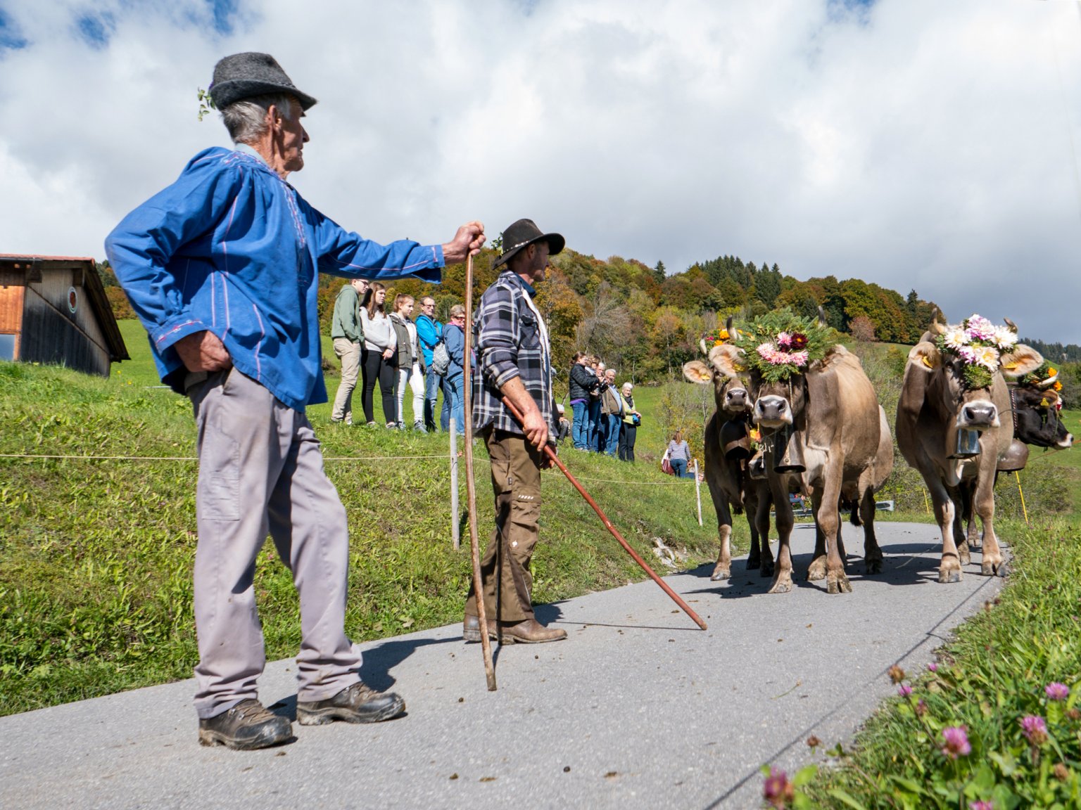 2023 Guide to Alpine Cow Parades in Switzerland