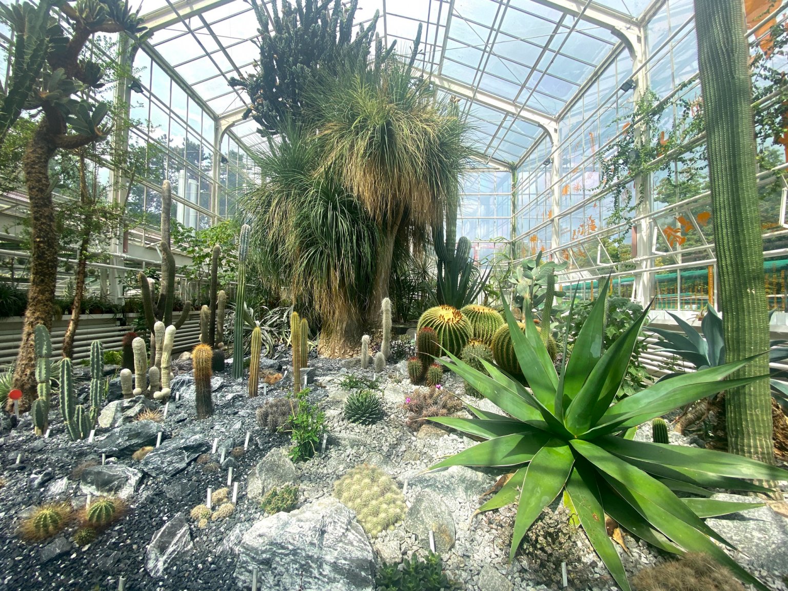 8 Botanical Gardens in Zurich with Free Admission - Newly Swissed ...